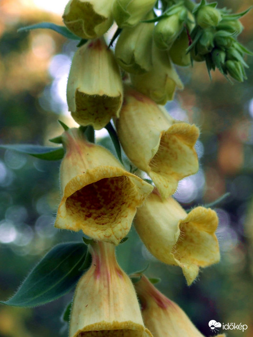 Varráshoz nem alkalmas :) 