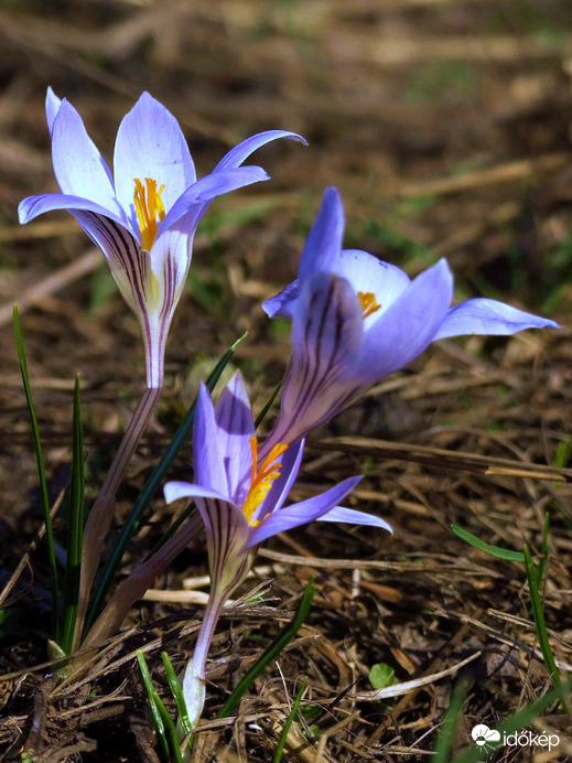 A trió más szemszögből :)
