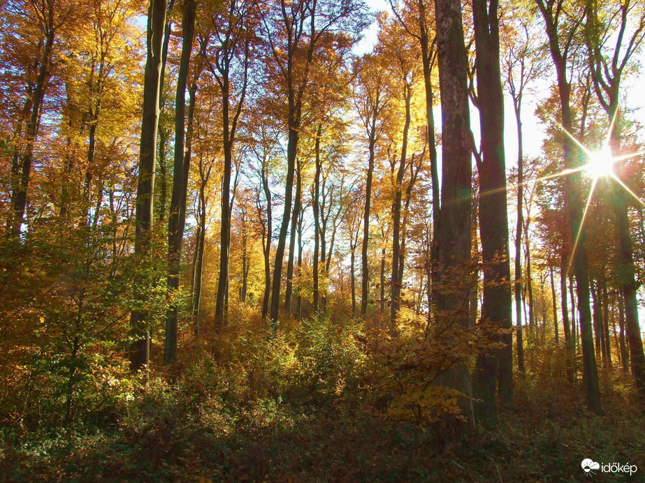 Még egy kis őszi Pilis :)