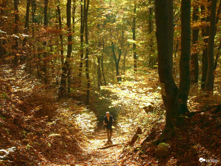 Még egy kis őszi Pilis :)