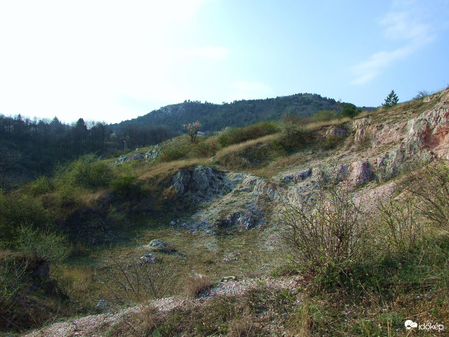 Budaörstől Csillebércig 