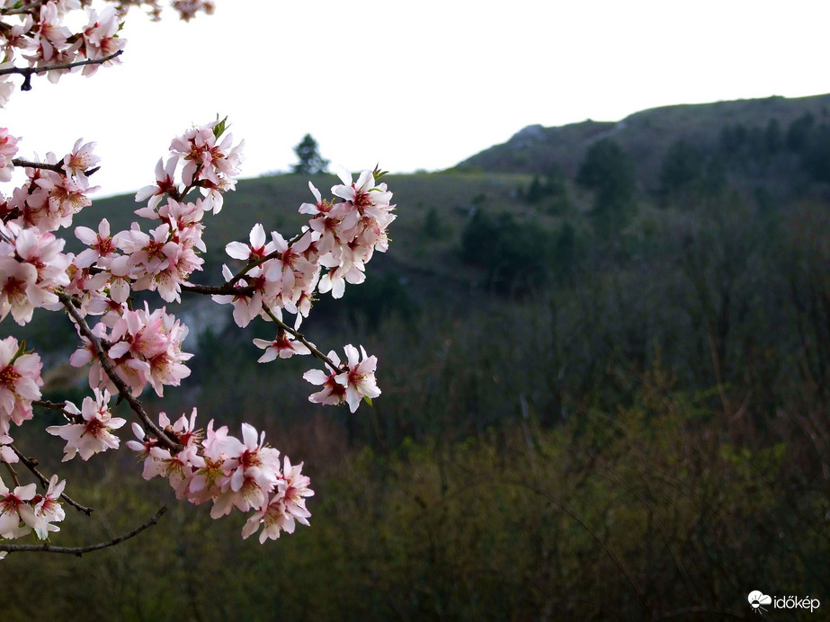 Budaörstől Csillebércig 