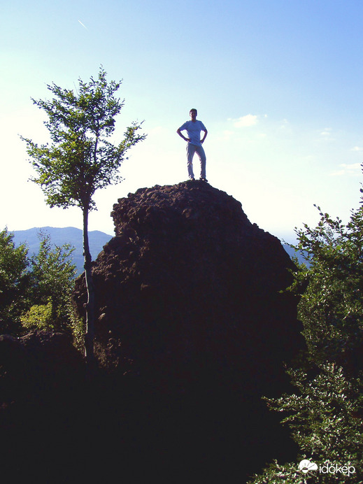Lonely at top :)