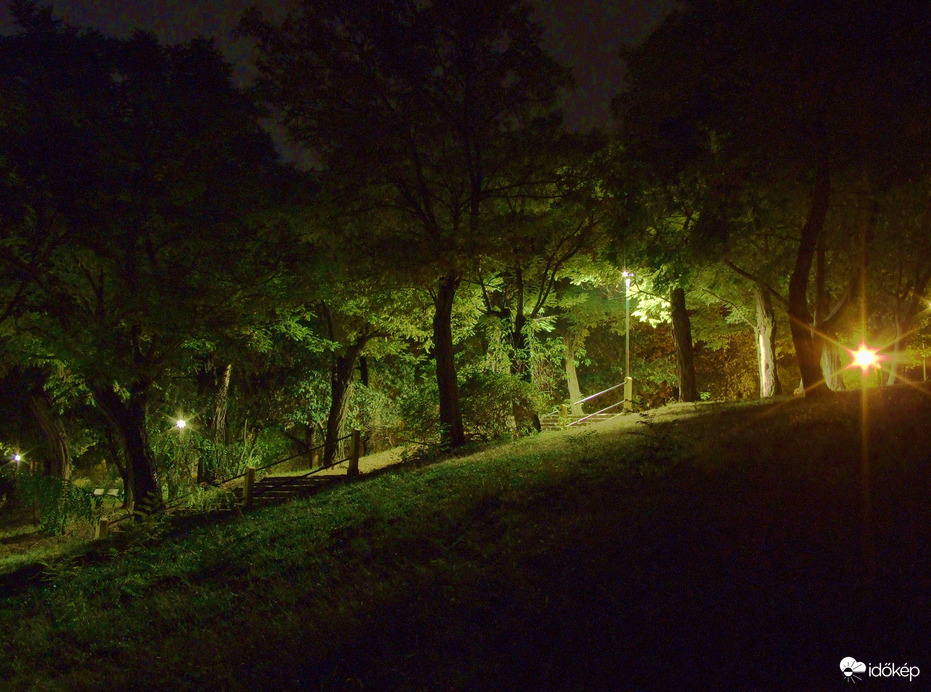 Éjjel a parkban