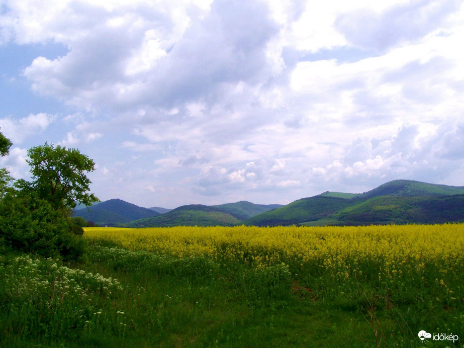 A Börzsöny nyugati lábánál 
