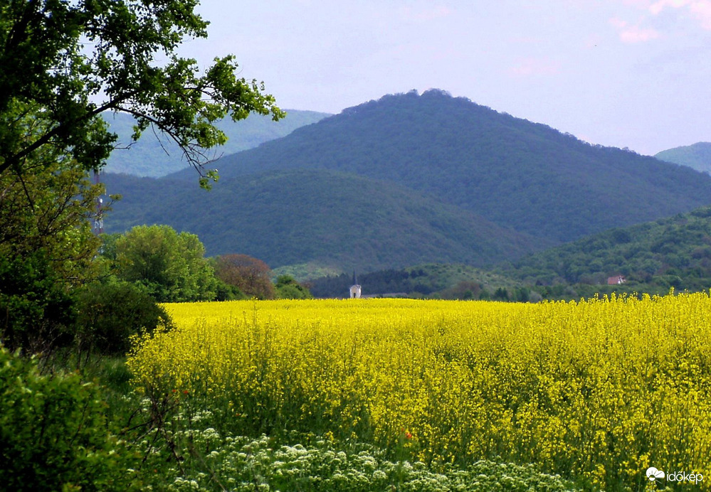 A Börzsöny nyugati lábánál 