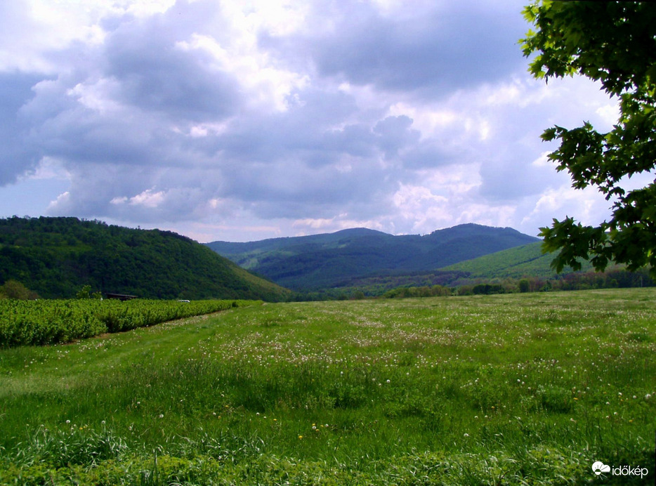  A Börzsöny nyugati lábánál