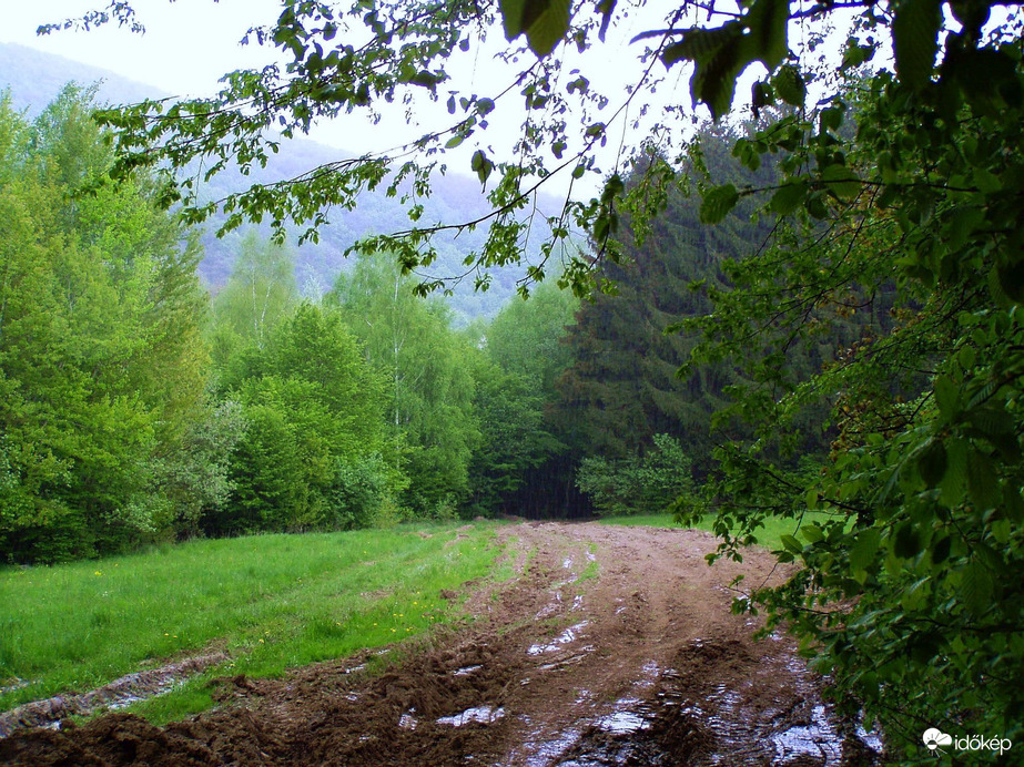 A Börzsöny nyugati lábánál 