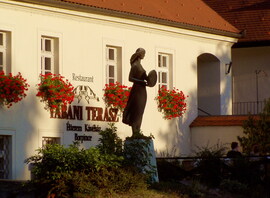 Délutáni fények