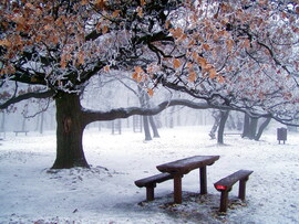 Fagyos, jeges időjárás 