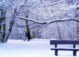 Amikor a hó ropog a lábunk alatt 