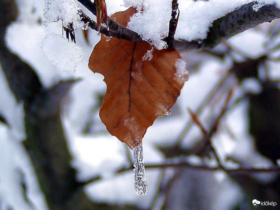 Beköszöntött az igazi tél 