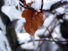 Beköszöntött az igazi tél 