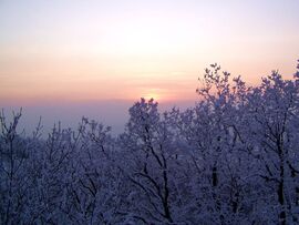 Zúzmarás, havas alkonyat 