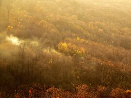 Alkonyati fényben, a kilátó alatt 