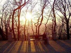 Fénysugarak a hegytetőn 