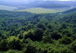 Barangolások a Cserhátban