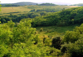 Barangolások a Cserhátban
