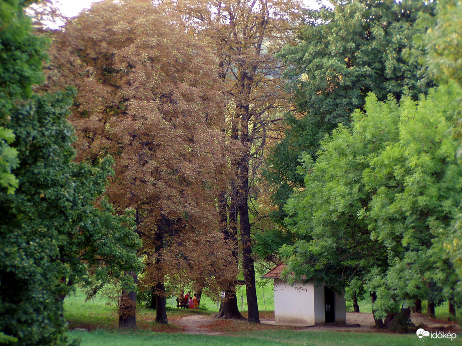 Szelektivitás a természetben :)