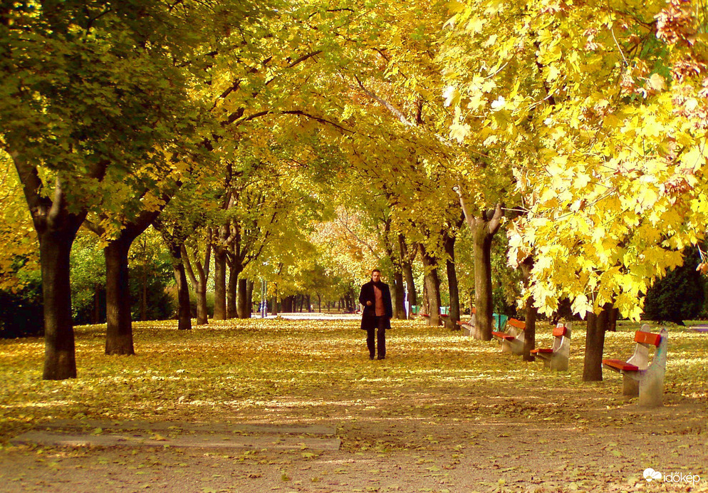 A Vérmezőn jártam és őszt találtam :)