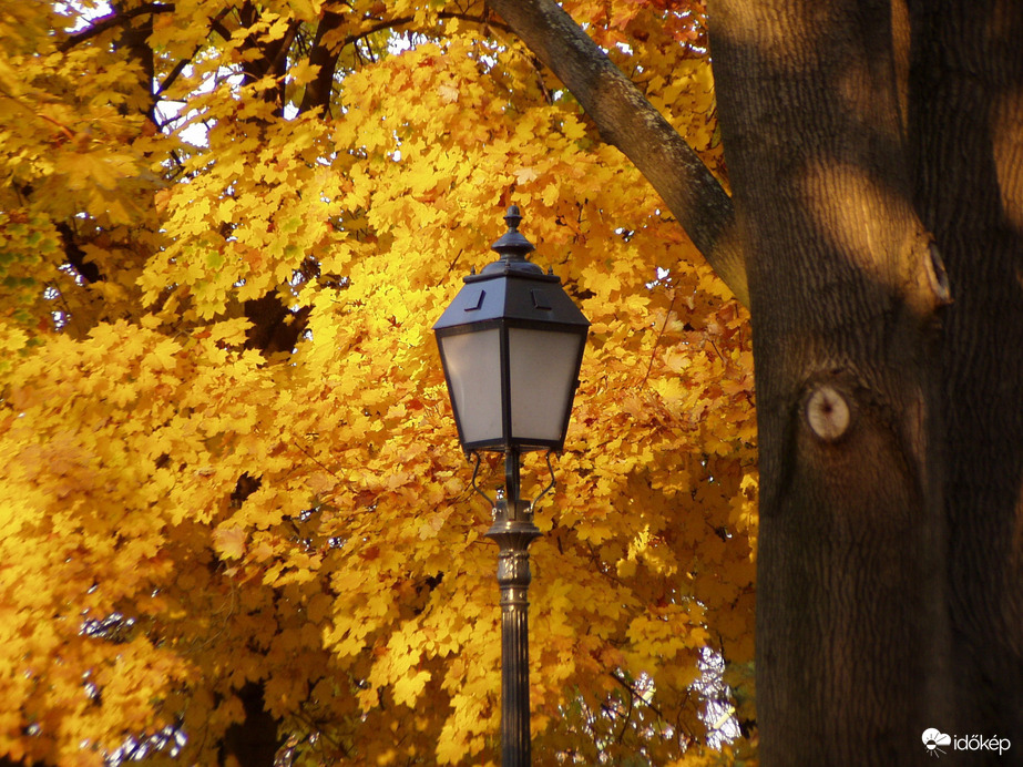Az ősz színei uralkodnak a Naphegyen is 