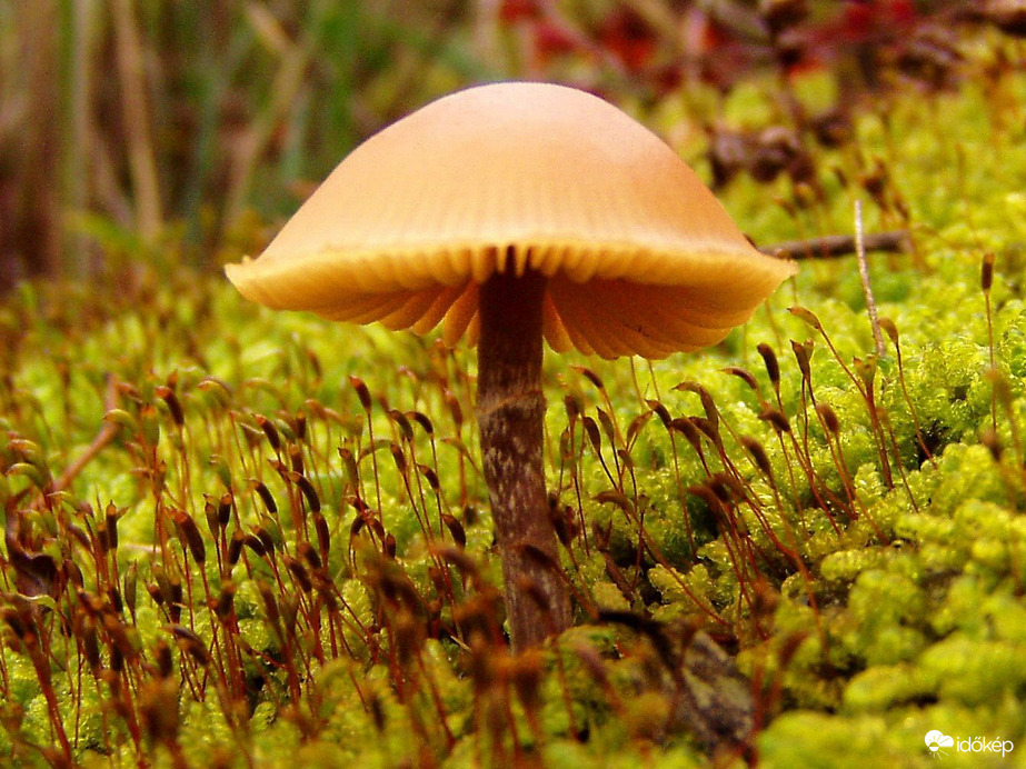 Beázás elleni védelem :) 