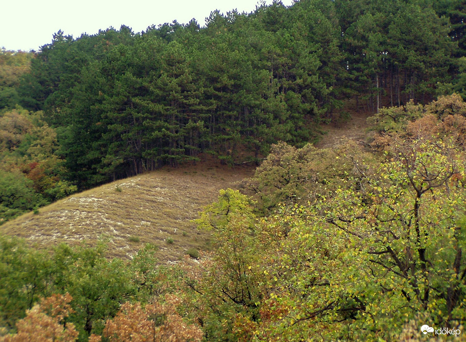 Szeptemberi tájrészlet 