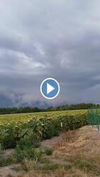 Félelmetes szépség