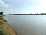 felsőgödi part