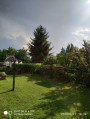 Nyírpazony