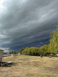 Balatonkenese