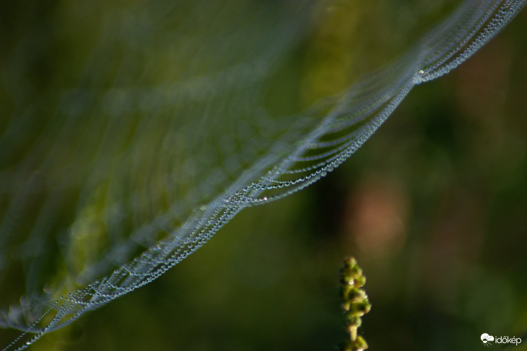 Reggeli cseppecskék