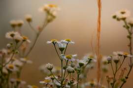 georgina1011 fotója