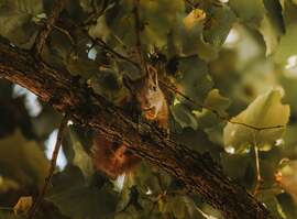 georgina1011 fotója