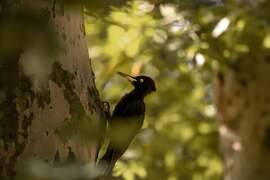 georgina1011 fotója