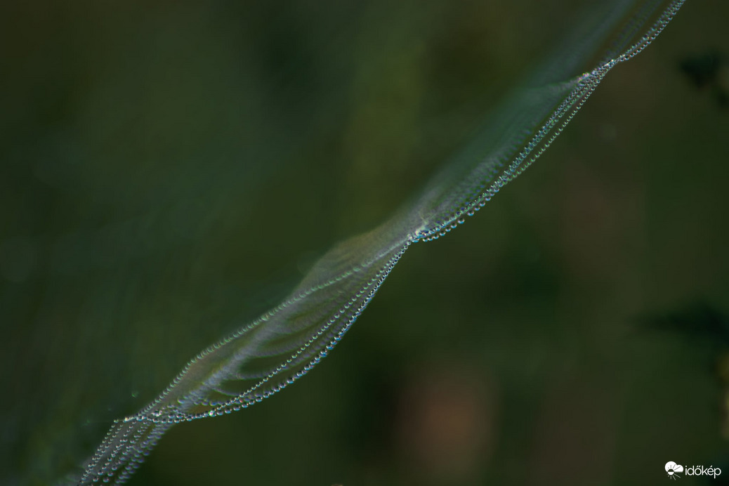 Reggeli cseppecskék