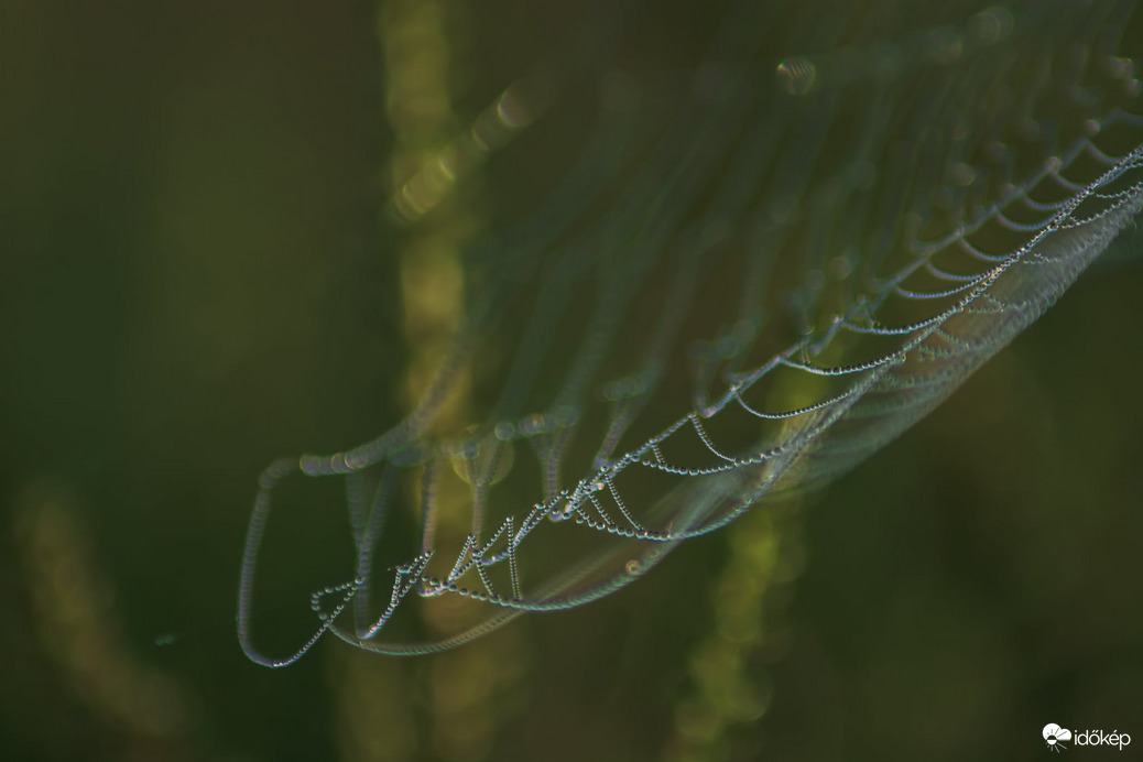 Reggeli cseppecskék