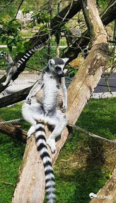 Csak meditálok egy kicsit
