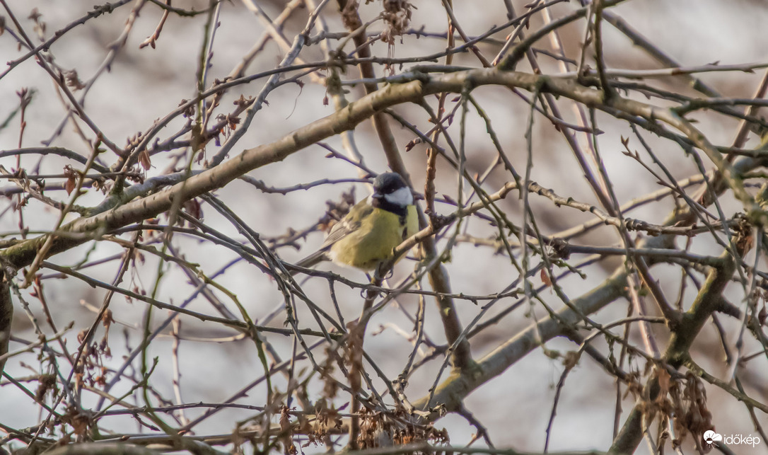Egy kis sütkérezés nem árthat