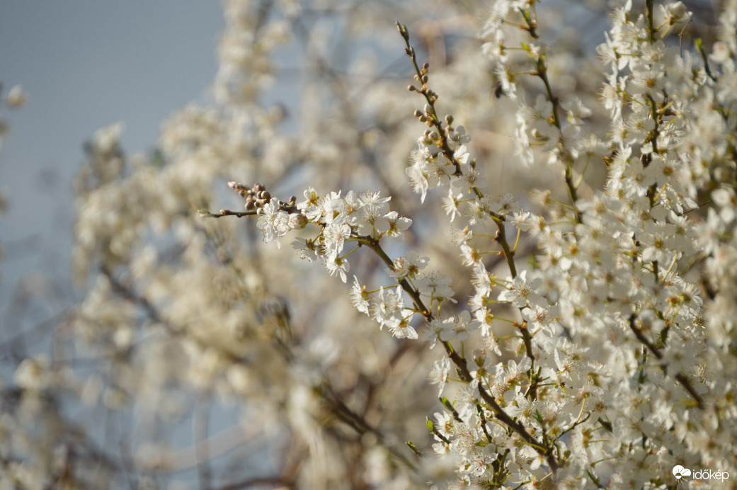 A változás is lehet szép
