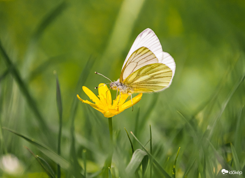 Egy kis nasolás nem árthat