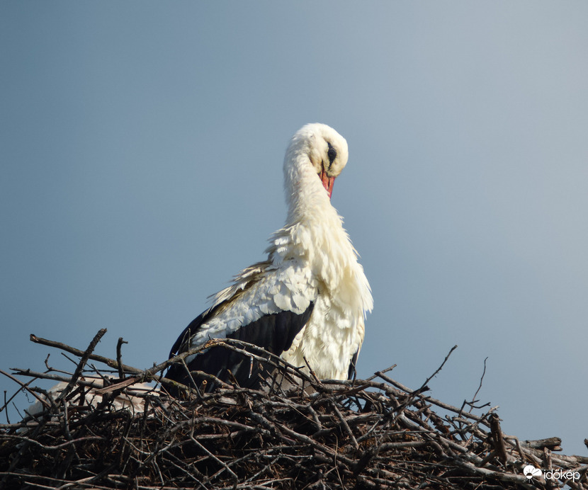 Csinosnak kell lennem