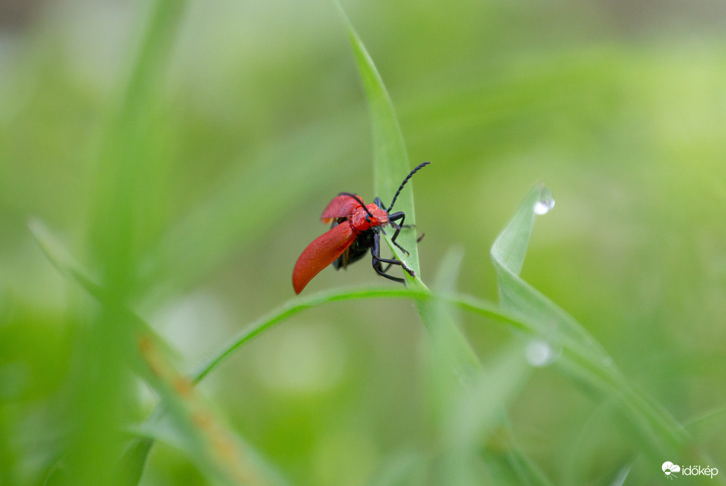 Felszállásra készen