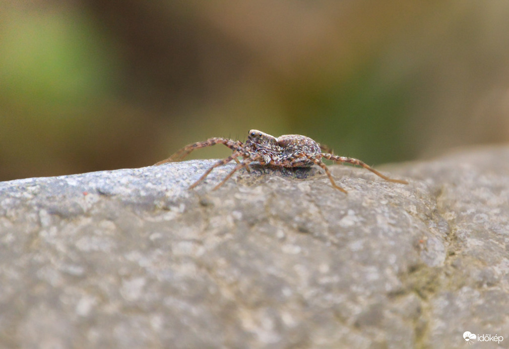 Élvezem a jó időt
