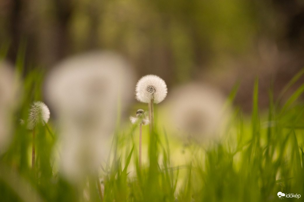 Az új nemzedék útnak indul