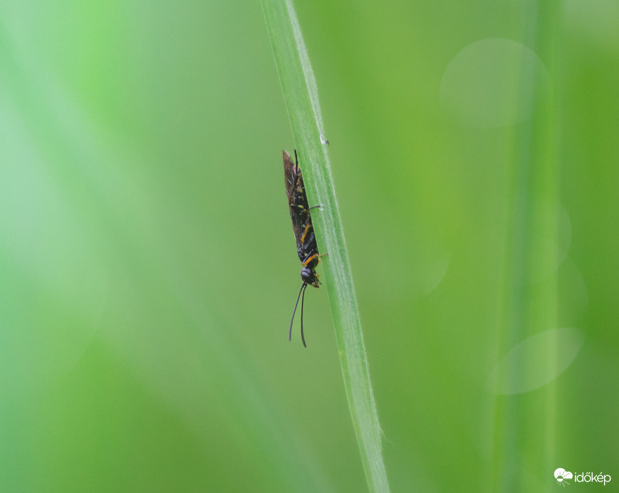 Bírom a szelet ne is foglalkoz velem