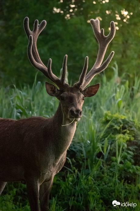 Egy csodás találkozás