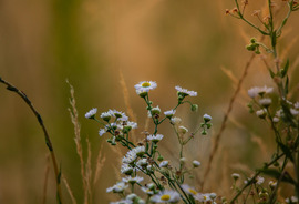 georgina1011 fotója