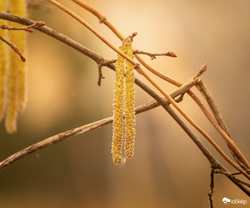 Éled a természet álmából