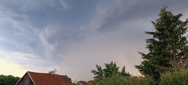 Vasalja